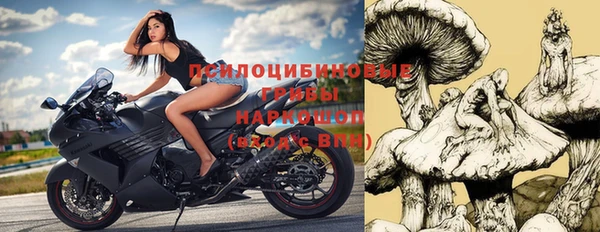 spice Козельск