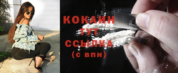 spice Козельск