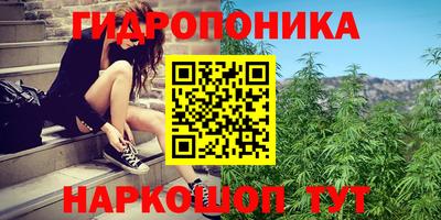 гидропоника Гатчина