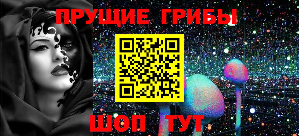 Галлюциногенные грибы GOLDEN TEACHER  Вход с VPN  Касимов 