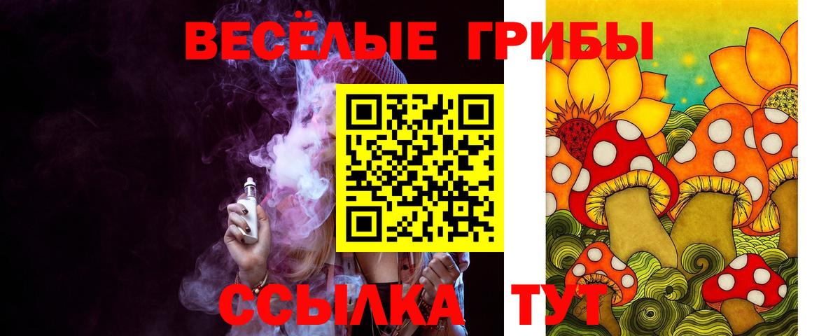 Псилоцибиновые грибы Cubensis Касимов