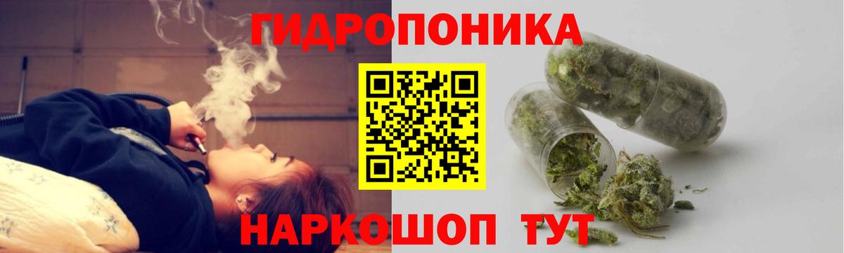 Шишки марихуана конопля  Вход с VPN  Касимов  МАРИХУАНА планчик 
